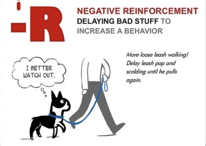 operant-conditioning-for-dogs-negative-reinforcement