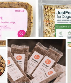 fresh-dog-foods